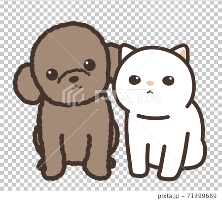仲良しの犬と猫 カメラ目線 背景白のイラスト素材