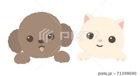 仲良しの犬と猫 顔 カメラ目線 背景白のイラスト素材