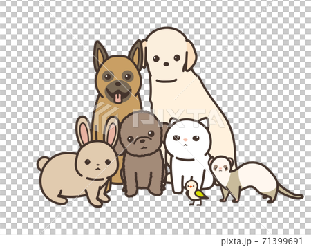 動物の集合 カメラ目線 白背景のイラスト素材