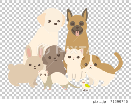 動物の集合 カメラ目線 白背景のイラスト素材