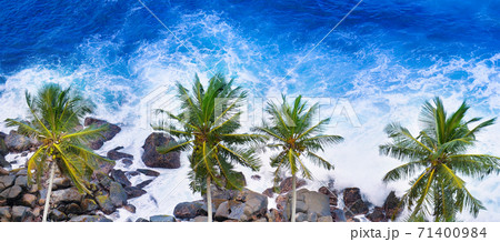 palm trees and a rocky shore. Sea waves are breaking on the rocks on the beach. Sri Lanka. Wide photo 71400984