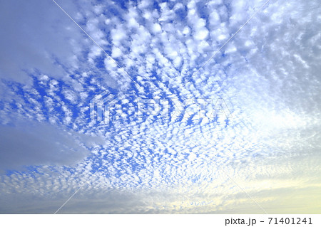 巻積雲 うろこ雲 の写真素材