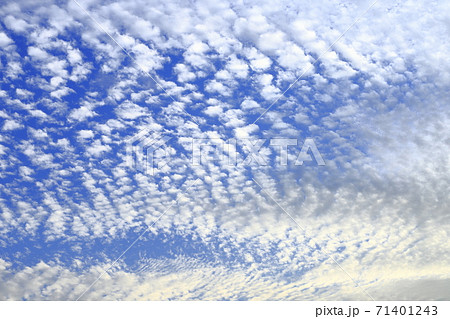 巻積雲 うろこ雲 の写真素材