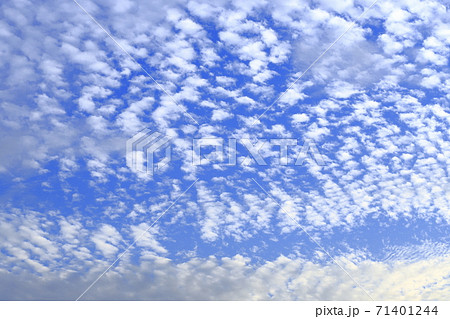巻積雲 うろこ雲 の写真素材