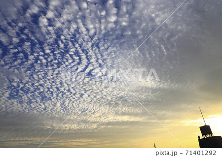 夕方の巻積雲（うろこ雲）　  71401292