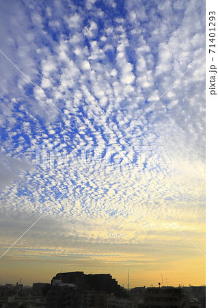 夕方の巻積雲（うろこ雲）　  71401293
