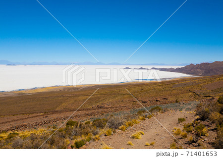 Salar de Uyuni, Bolivia Salar de Uyuni, Bolivia 71401653