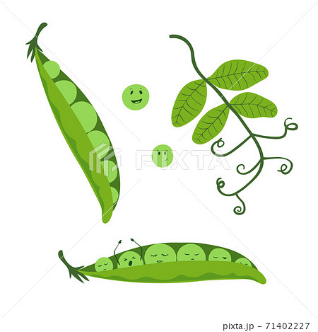 Cartoon Pea Set Cute Smiling Peas In The Pod のイラスト素材