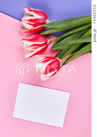 Spring flowers and card. Spring flowers and card. 71402253