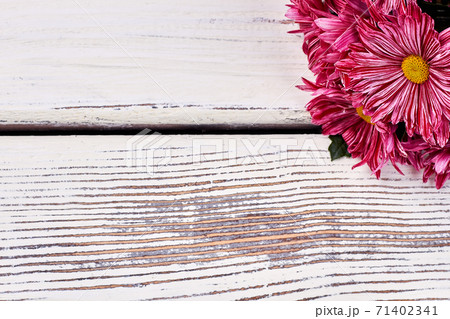 Chrysanthemums on wooden background. 71402341