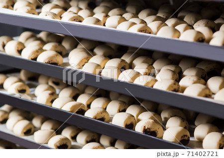 Pies on the shelves. Pies on the shelves. 71402721