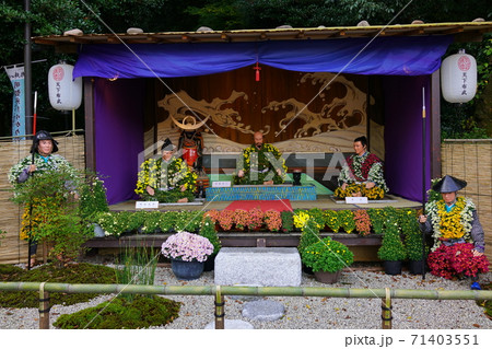 岐阜公園　菊人形展 71403551