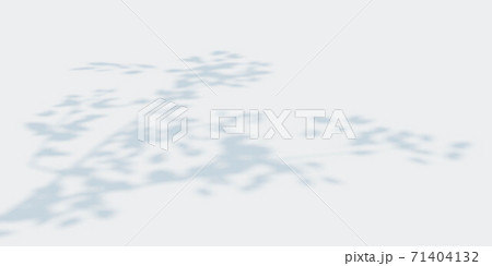 shadow of leaves tree branch casting shadows on white ground 3d render illustration shadow of leaves tree branch casting shadows on white ground 3d render illustration 71404132
