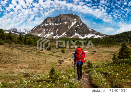 Female Backpacker Hiking in Canadian Rockies Female Backpacker Hiking in Canadian Rockies 71404534