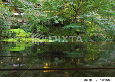 日没前の臥竜の庭 71404601