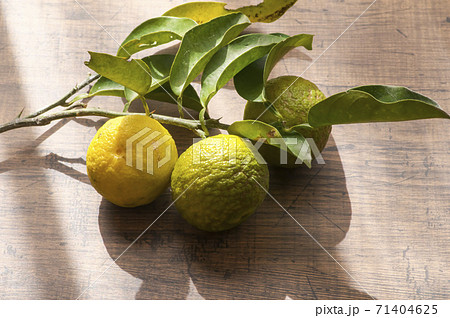 ◆柚子＊◆ Citron Fruit Is A Kind Of Japanese Citrus Stock Photo