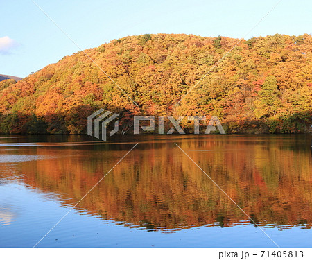 宮城県七ヶ宿町の秋 紅葉の長老湖 宮城県七ヶ宿町の秋 紅葉の長老湖 71405813