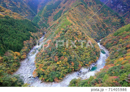 祖谷渓 ひの字渓谷 紅葉 (徳島県) 祖谷渓 ひの字渓谷 紅葉 (徳島県) 71405986