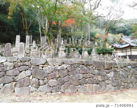 大寧寺の墓苑 71406991