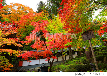 滋賀県東近江市の永源寺と紅葉の風景(2020年)季節、四季、秋【11月】 滋賀県東近江市の永源寺と紅葉の風景(2020年)季節、四季、秋【11月】 71407137