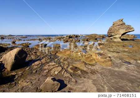 千畳敷海岸の奇岩群 71408151