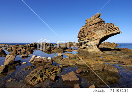 千畳敷海岸の奇岩群 千畳敷海岸の奇岩群 71408152