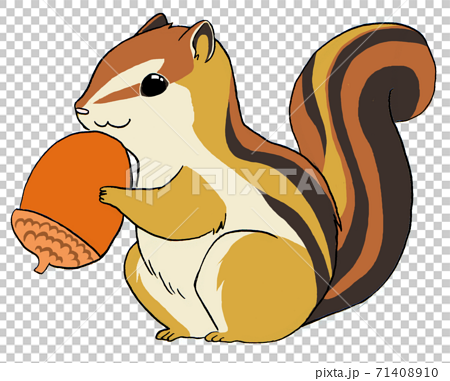 Squirrel With Acorn Stock Illustration