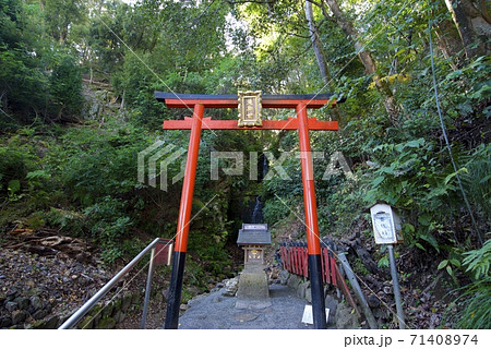 京都市西京区の松尾大社の霊亀の滝 京都市西京区の松尾大社の霊亀の滝 71408974