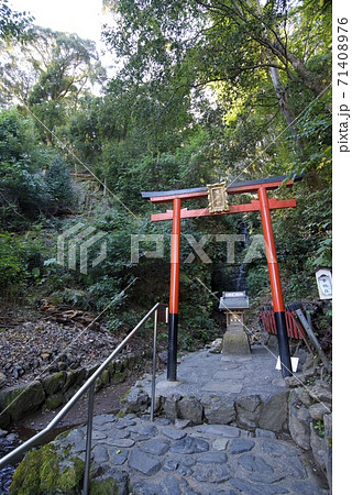 京都市西京区の松尾大社の霊亀の滝 京都市西京区の松尾大社の霊亀の滝 71408976