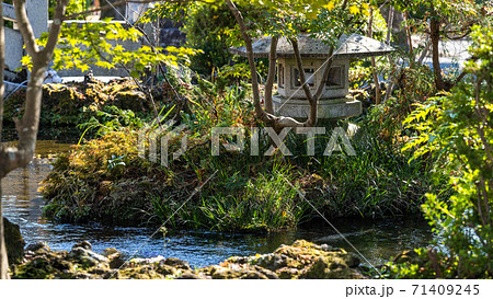 富士山本宮浅間大社の湧玉池 富士山本宮浅間大社の湧玉池 71409245