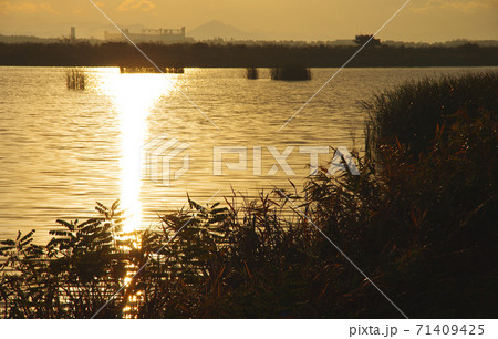 大潟村の海潟の朝景 71409425