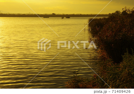 大潟村の海潟の朝景 大潟村の海潟の朝景 71409426