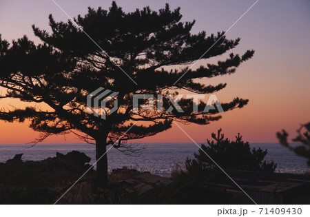 大間越街道から望む夕日 71409430