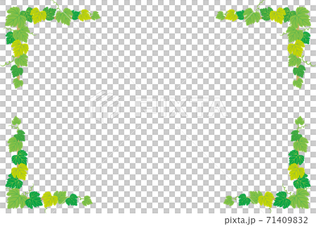 綠色框架 71409832