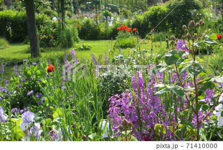モネの庭 ジヴェルニー 花の庭09の写真素材