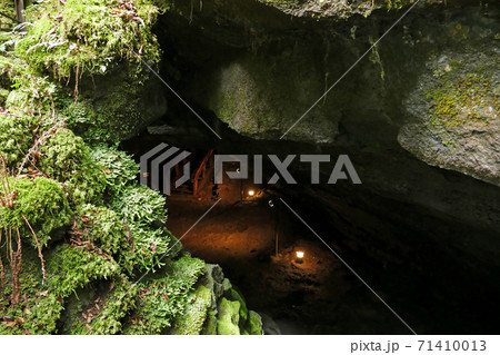 西湖コウモリ穴　山梨県 71410013