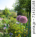 モネの庭、ジヴェルニー、花の庭12 71410188