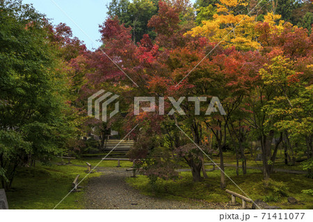 信州 長野県飯山市、信州飯山史跡めぐり 称念寺の紅葉 信州 長野県飯山市、信州飯山史跡めぐり 称念寺の紅葉 71411077
