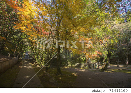 泰勝寺跡庭園紅葉 泰勝寺跡庭園紅葉 71411169