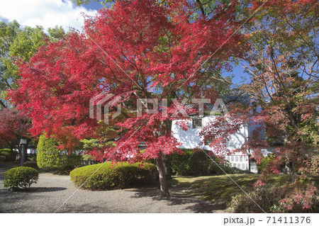 細川行部邸通用口 71411376