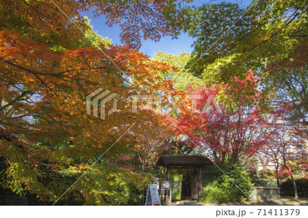 細川刑部邸　喜遊亭紅葉 71411379