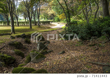 信州 長野県下高井郡木島平村ケヤキの森公園のマレットゴルフ場の写真素材