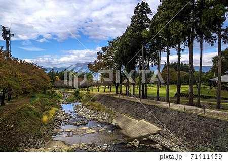 信州 長野県下高井郡木島平村ケヤキの森公園と馬曲川の写真素材