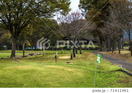 信州 長野県下高井郡木島平村ケヤキの森公園のマレットゴルフ場の写真素材