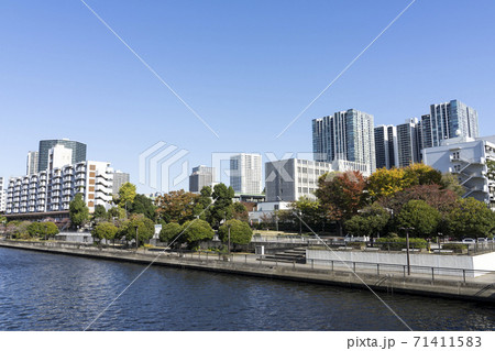 東京 天王洲の風景 天王洲運河、高浜運河 東京 天王洲の風景 天王洲運河、高浜運河 71411583
