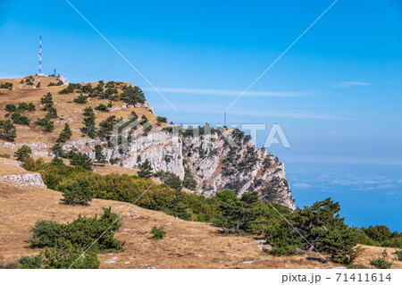 High rocky mountains on blue sky background. Green pine forest on the mountainside. 71411614