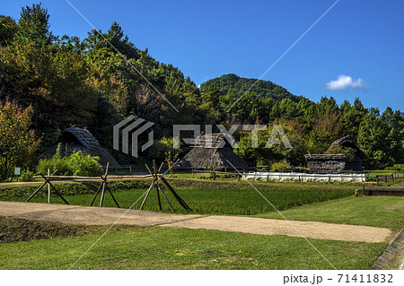 信州　長野県千曲市秋の科野の里歴史公園 71411832
