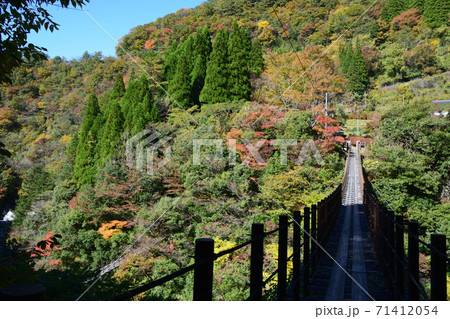 樅木吊り橋　あやとり橋＆しゃくなげ橋 71412054