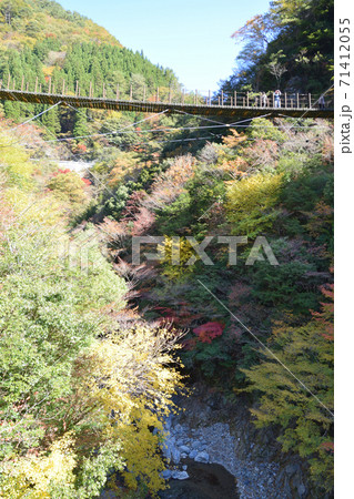 樅木吊り橋　あやとり橋＆しゃくなげ橋 71412055