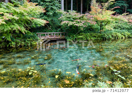 名もなき池　モネの池　全景 71412077